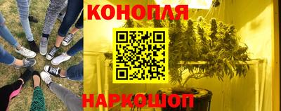 Альфа ПВП Заводоуковск