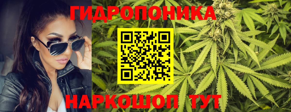 Канабис White Widow Назрань